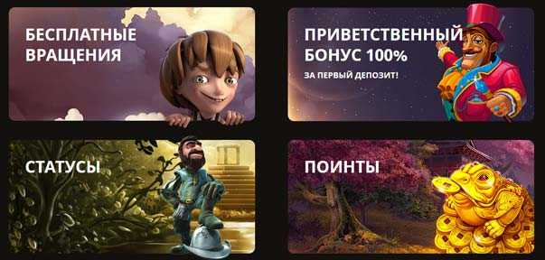 Бонусы в казино Playfortuna